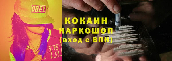 твердый Лиски