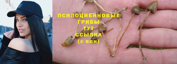 мескалин Ладушкин