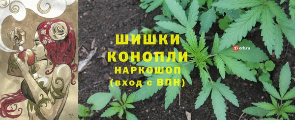 прущие крисы Лабытнанги