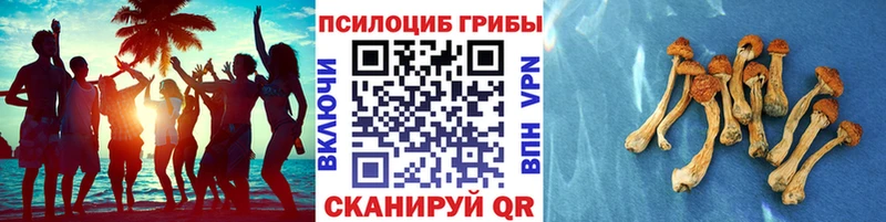 Галлюциногенные грибы мицелий  Южно-Сухокумск 